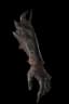 Hand of Apotheosis unique item icon