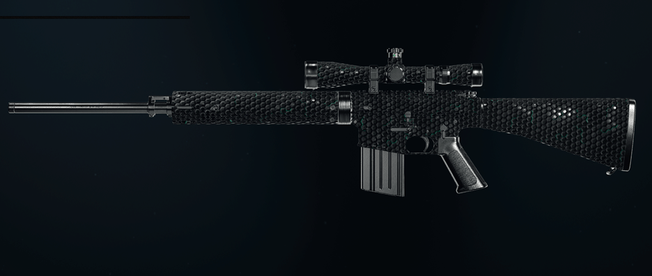 Call of Duty Black Ops 6 rifle camos showcase