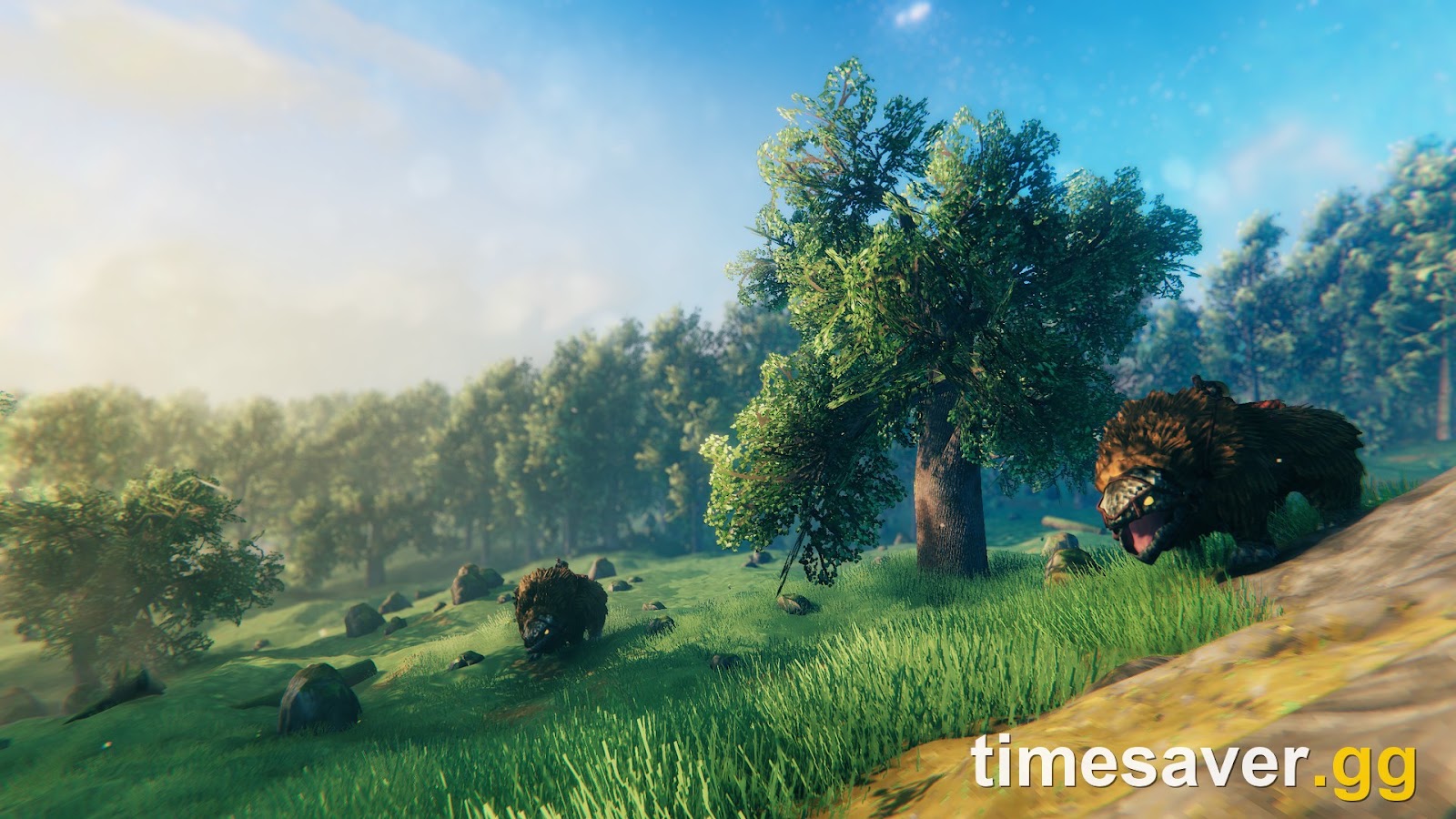 Valheim on Nintendo Switch 2: Release Date, Crossplay, Performance & What to Expect (2026)