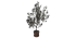 [Design] Holly Bush Design