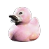 Tropical Duck