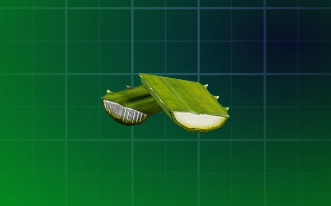 Agave
