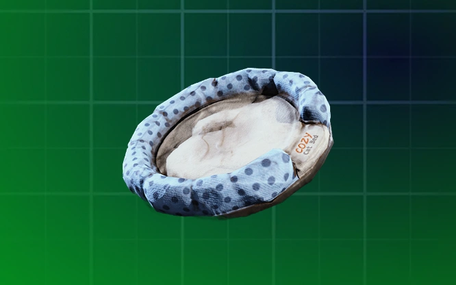 Cat Bed