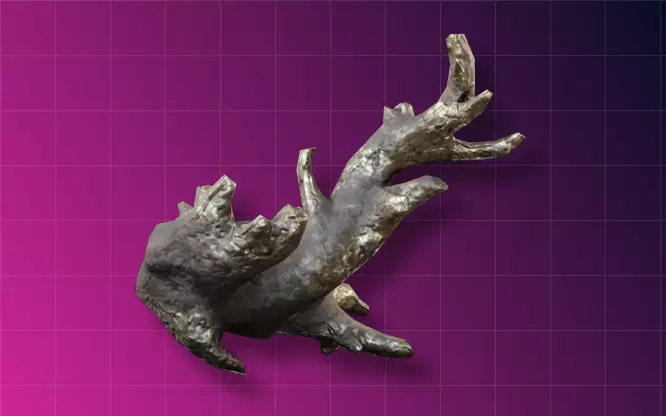 Fossilized Lightning