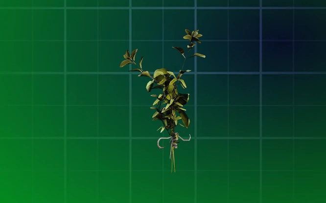 Great Mullein