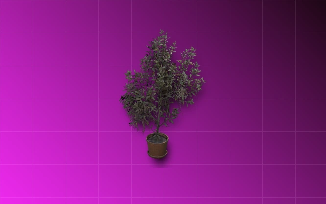 [Design] Holly Bush Design