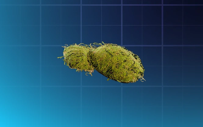 Moss