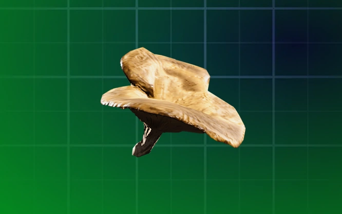 Mushroom