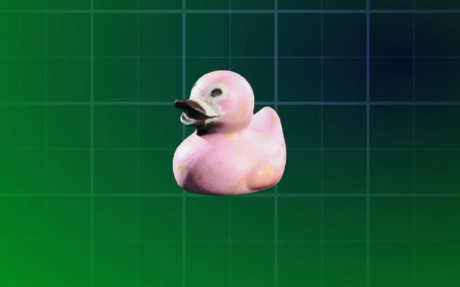 Tropical Duck