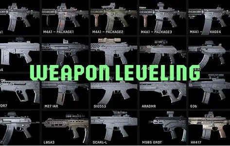 BF6 Weapon Level