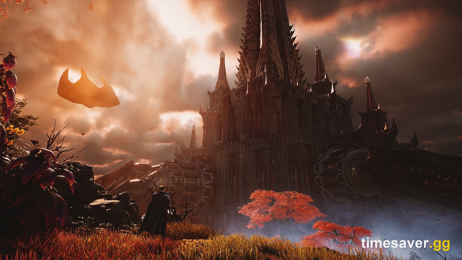 AION 2 Beginner's Guide: Everything a New Player Should Know Before You Start