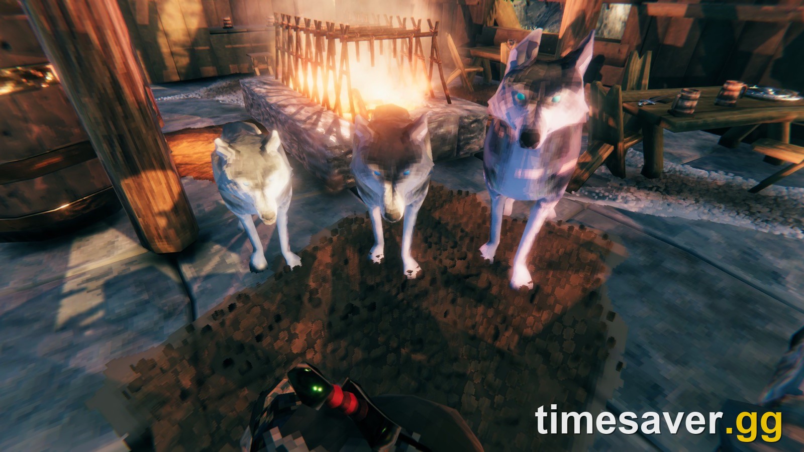 Three tamed Valheim wolves side by side inside a longhouse, showing the size difference between a 0-star, 1-star and 2-star wolf