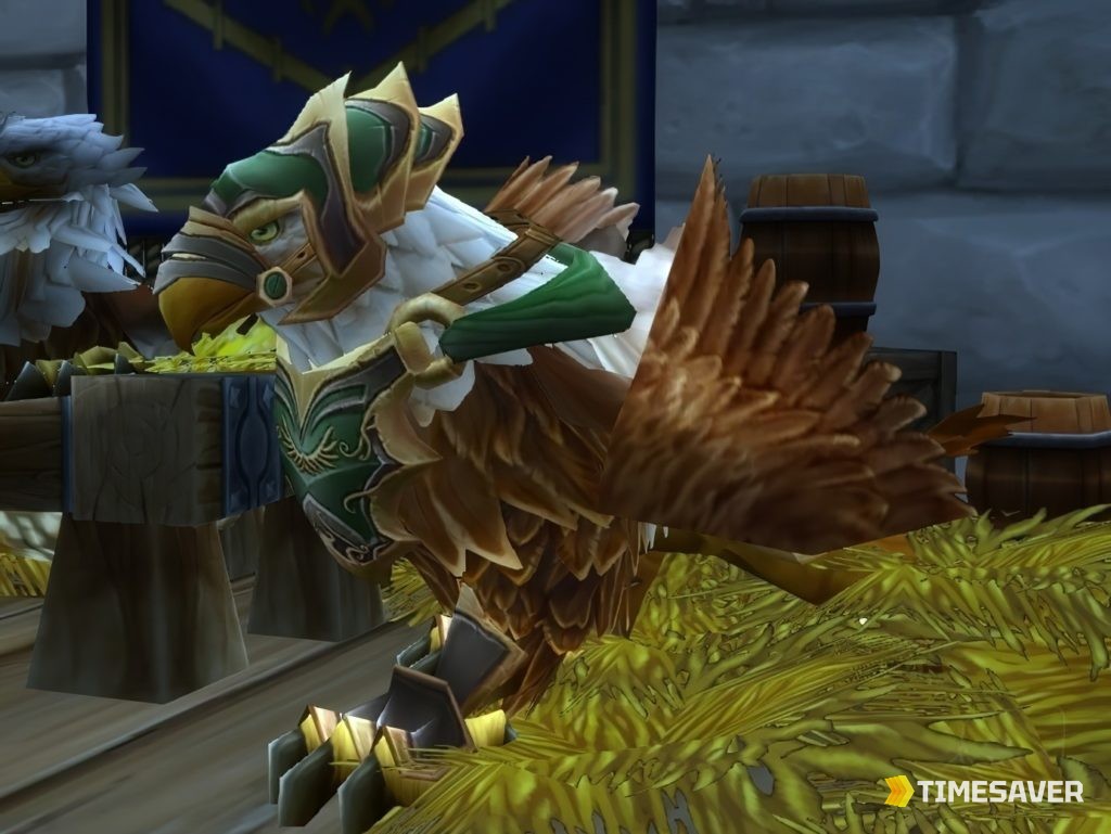 How to Afford Epic Flying Fast in TBC Anniversary (The Real 5,000g Plan)