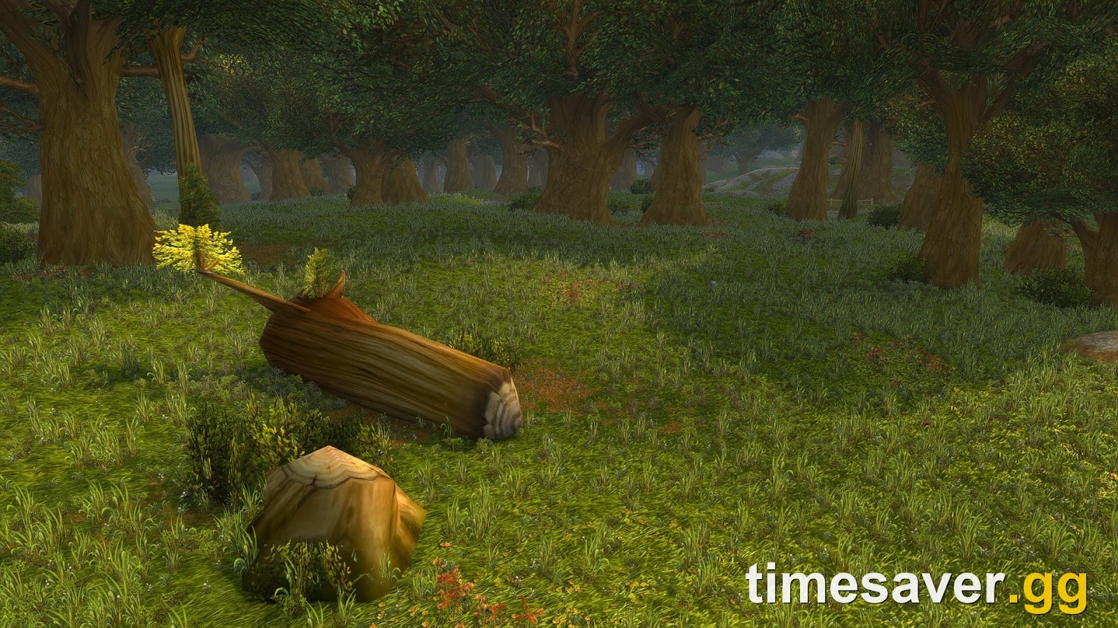 How to Prep for a Fresh WoW Classic+ Realm Before BlizzCon 2026 (and What's a Waste of Time)