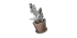 Potted Plant