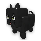 Black Cat
