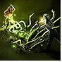 Entangle icon